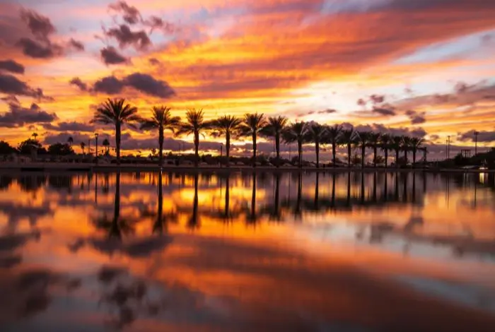 east valley az communities Mesa sunset with palm trees and water reflection