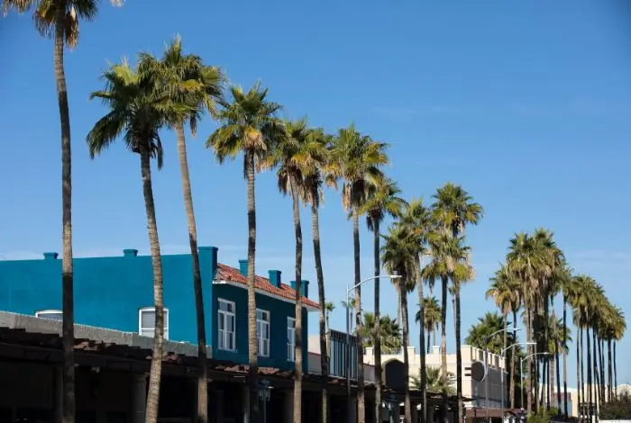 east valley az communities Chandler street with palm trees and local storefronts
